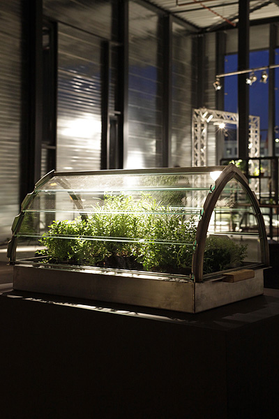 Van Eijk & van der Lubbe, Usuals Greenhouse (photo Lisa Klappe)