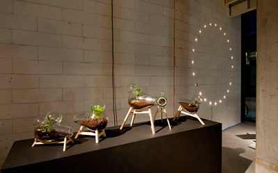 Sander Boeijink, Nienke Sybrandy & Jeroen Wand (Grondvormen) / Biotope